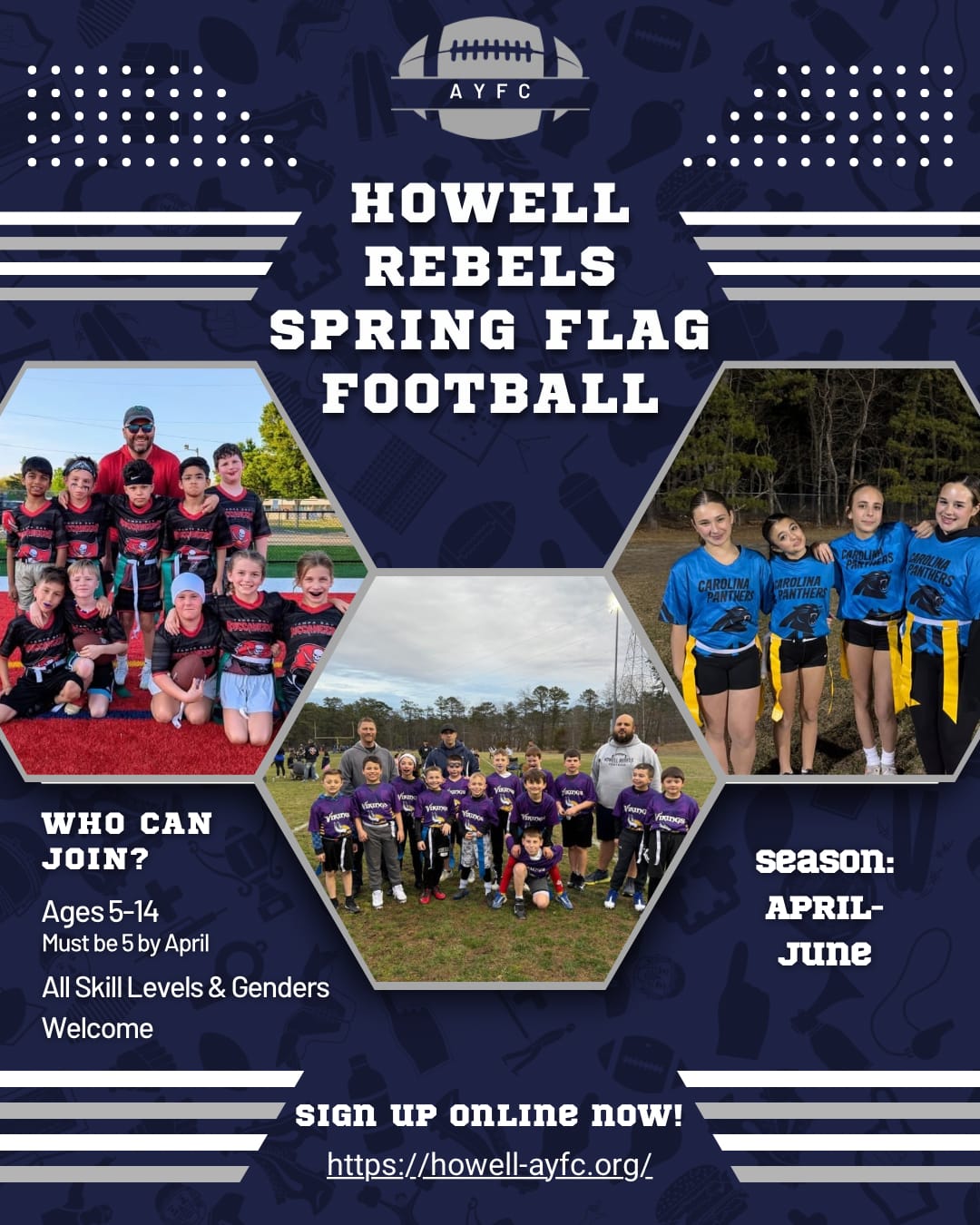 Howell AYFC Spring Flag